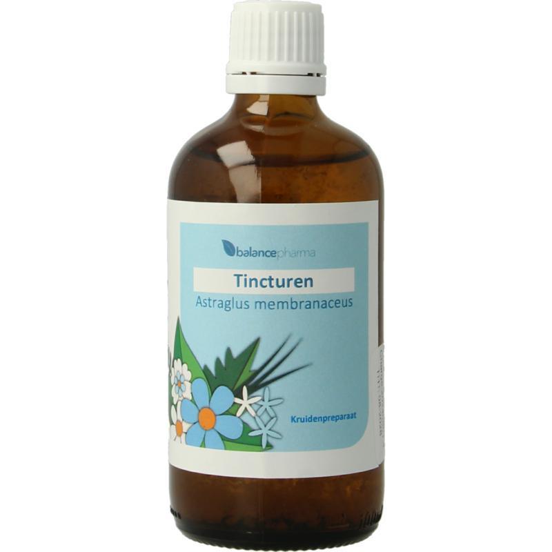 Astragalus membranaceus tincturen 100 ML