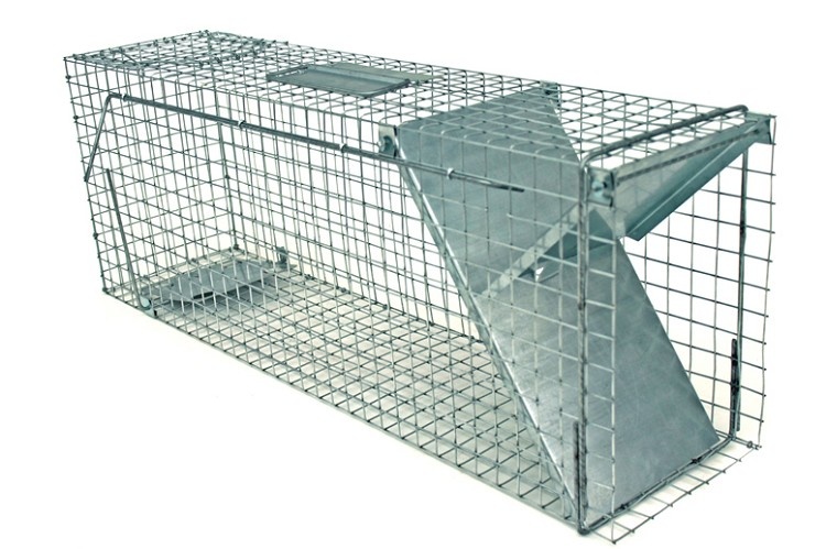Vangkooi voor katten