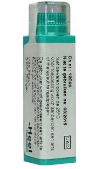 Hypericum perforatum 12k 4G