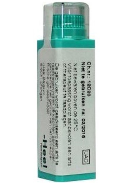 Hypericum perforatum d12 4g