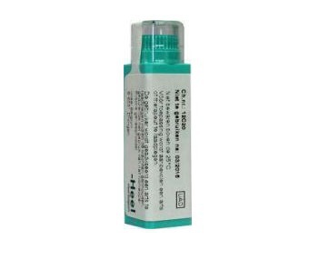 Dulcamara d6 4g Globuli