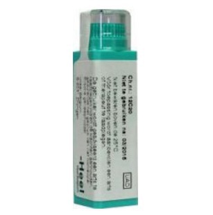 Saccharum officinalis / placebo 6 gram
