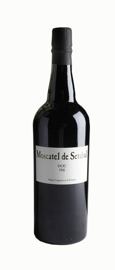 Moscatel de Setúbal 1981