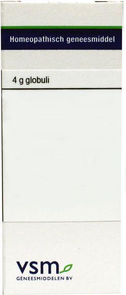 Conium maculatum lm12 80grn