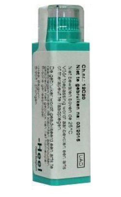Rhus toxicodendron mk 4g