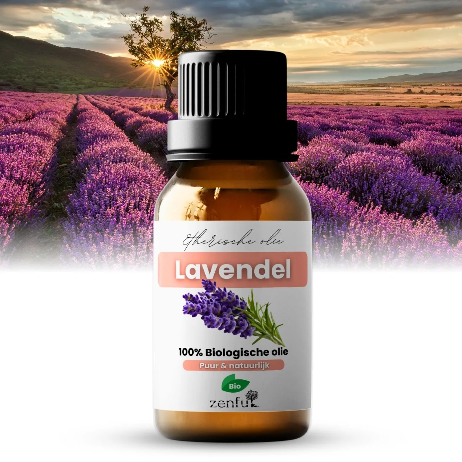 Zenful Lavendel echte Bulgarije etherische olie biologisch 10 ml