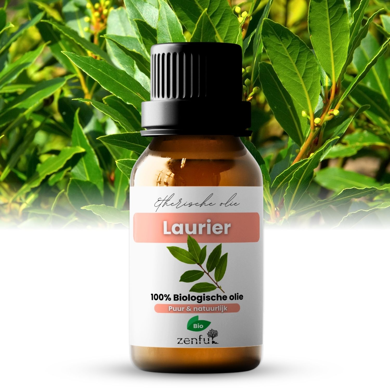 Zenful Laurierolie etherische olie biologisch 10 ml