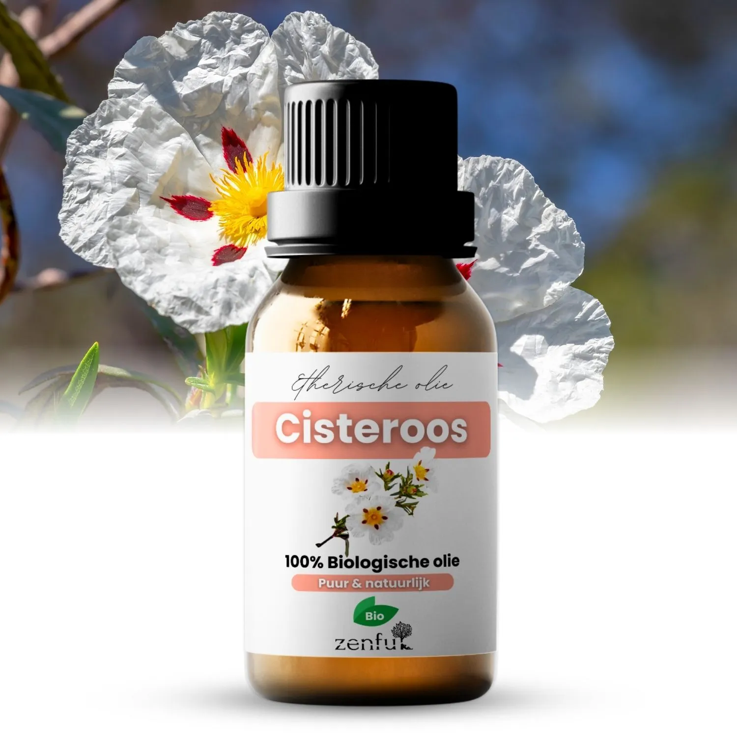 Zenful Cisteroos (Zonneroos) etherische olie biologisch 10 ml