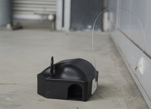 AllesTegenOngedierte.nl Voerdoos anker 25 CM