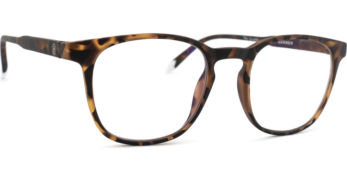 Dalston Barner Screen  Tortoise