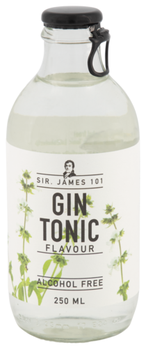 Gin Tonic 25CL