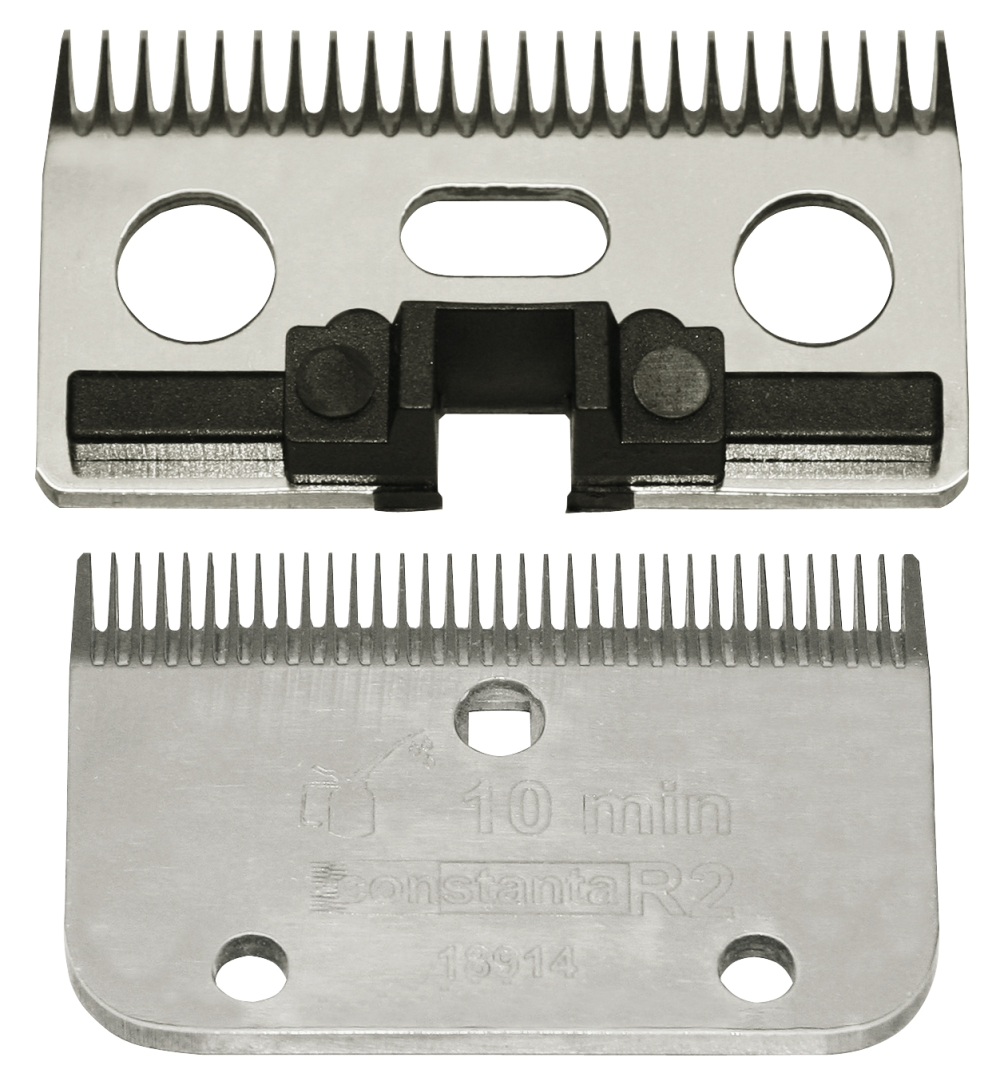 Kerbl Constanta Rodeo R6 3mm 18/24tands