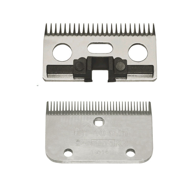 Constanta Messenset  Rodeo (24/35tds)