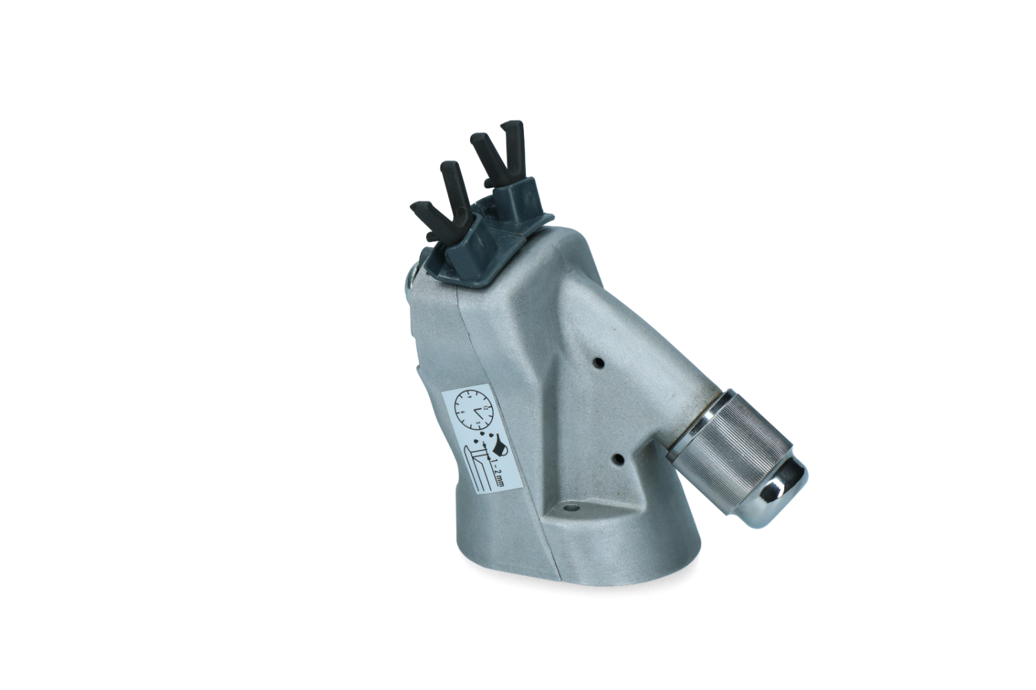 Constanta 3 S Losse kop Schaap