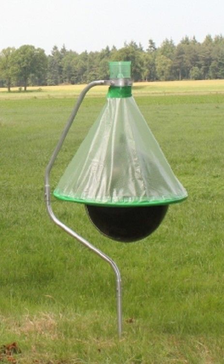 Insective H-Trap Dazenval