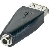 Wentronic USB - Jack adapter - 