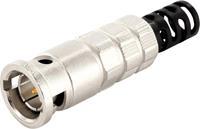 Telegärtner HDTV-BNC-Steckverbinder Stecker, gerade 75Ω 1St.