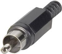 BKL Electronic - 1107013/T Cinch-connector Stekker, recht Aantal polen: 2 Geel 1 stuks