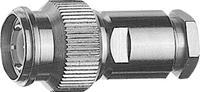 Telegärtner TNC-Steckverbinder Stecker, gerade 75Ω 1St.