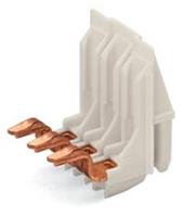 Wago Anschlussadapter 100St.