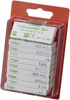 eska 12208 Feinsicherung-Sortiment (Ø x L) 5mm x 20mm Träge -T- Inhalt 100St.
