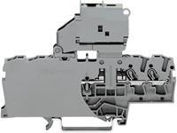 Wago Sicherungsklemme 6.20mm Zugfeder Belegung: L Grau 1St.
