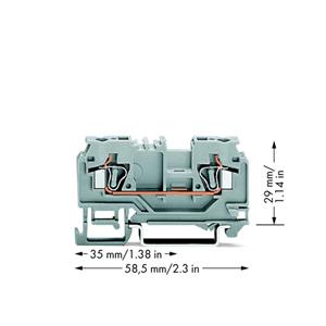 WAGO 880-901 Doorgangsklem 5 mm Spanveer Toewijzing: L Grijs 100 stuk(s)