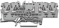 WAGO 2002-1861 Basisklem 5.20 mm Spanveer Toewijzing: L Grijs 1 stuk(s)