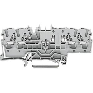 Wago 2002-1881 Zekeringklem 5.20 mm Spanveer Toewijzing: L Grijs 1 stuk(s)