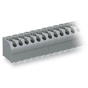 WAGO 250-502/000-006 Veerkrachtklemblok 1.00 mm² Aantal polen 2 Blauw 400 stuk(s)