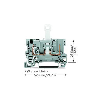 WAGO 769-232 Basisklem 5 mm Veerklem Toewijzing: L Grijs 50 stuk(s)