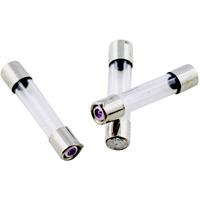 ESKA 528.020 528020 Feinsicherung (Ø x L) 5mm x 25mm 2A 250V Mittelträge -mT- Inhalt 10St.