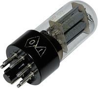 Buis (elektronenbuis) Fitting Octal Beschrijving: NF-dubbeltriode