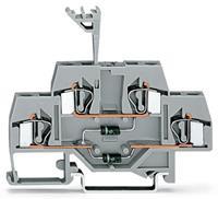 Wago Doppelstock-Diodenklemme 6mm Zugfeder Belegung: L Grau 50St.