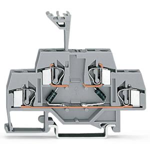 WAGO 281-636/281-488 Diodeklem 2-etages 6 mm Spanveer Toewijzing: L Grijs 50 stuk(s)