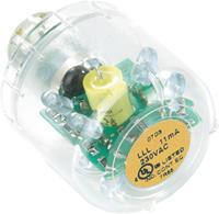 Auer Signalgeräte LED-Lampe LED-Dauerlicht LLL Orange, 24V AC/DC, BA15d
