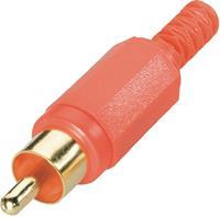 BKL Electronic Cinch-Steckverbinder Stecker, gerade Polzahl: 2 Rot