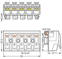 Wago Netzanschlussklemme starr: 0.5-2.5mm² Polzahl: 5 250 St. Weiß