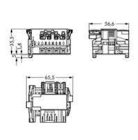 Wago Netz-Adapter Netz-Stecker - Netz-Buchse Gesamtpolzahl: 4 Weiß 25St.