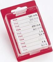 eska 12009 Feinsicherung-Sortiment (Ø x L) 5mm x 20mm Flink -F- Inhalt 100St.