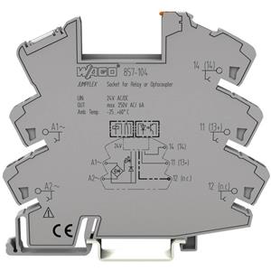 Wago Relaissockel (B x H x T) 6 x 81 x 94mm 1St.