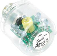 Auer Signalgeräte LLL Lamp voor signaalgever LED Wit Continulicht Geschikt voor serie (signaaltechniek) Signaalzuil modulSIGNAL50