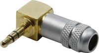 BKL Electronic 1103084 Klinken-Steckverbinder 3.5mm Stecker, gewinkelt Polzahl: 3 Stereo Gold 1St. W912821