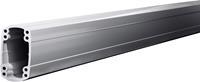 rittal CP Tragprofil geschlossen Aluminium (L x B x H) 500 x 90 x 160mm 1St.