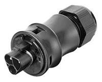 Connector met veerdrukaansluiting, serie gesis ® IP + RST 20i3 Aantal polen: 3 Stekker 96.032.0053.1 Wieland 1 stuks