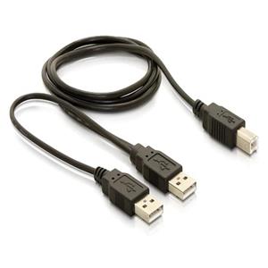 DeLOCK USB 2.0 - Y kabel - 