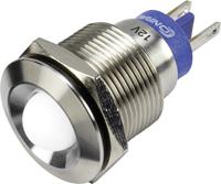 trucomponents LED-Signalleuchte Weiß 12 V/DC GQ19B-D/W/12V/S