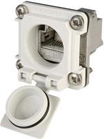 Telegärtner STX V6 RJ45-Flanschset Variante 6 Kupplung, Einbau Pole: 8P8C Lichtgrau J00