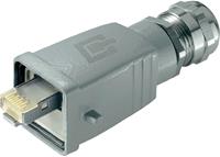 Telegärtner STX V5 RJ45-Steckerset Variante 5 Stecker, gerade Pole: 8P8C Aluminium J800