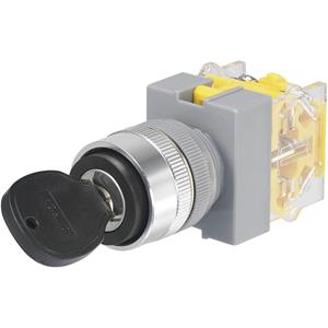 trucomponents TRU Components Y090-A-11Y/21 Schlüsselschalter 250 V/AC 5A 1 x Aus/Ein 1 x 90° IP40 1St. D71167